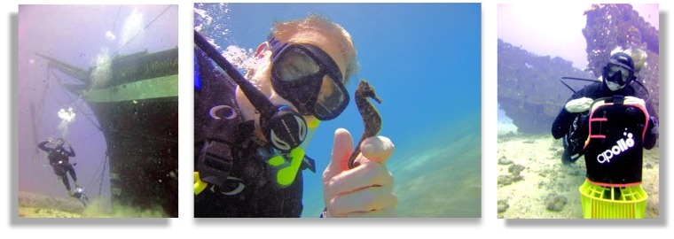 Maui Scuba Diving