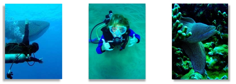 Maui Scuba Diving