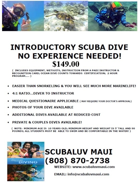 Maui Diving