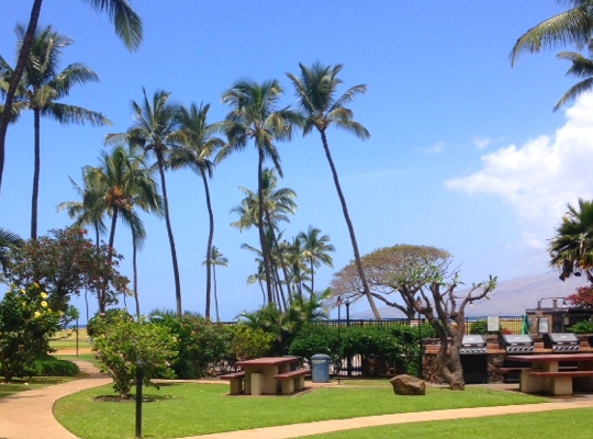 Maui Vacation Rentals