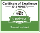 Tripadvisor awards