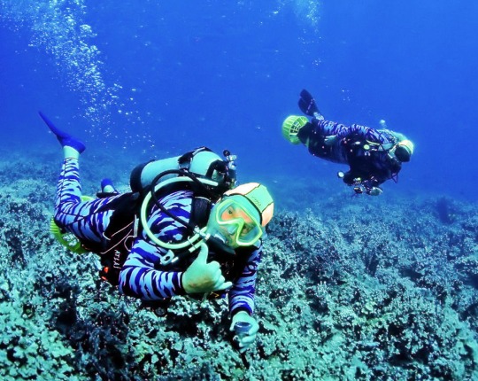 Maui Scuba Diving