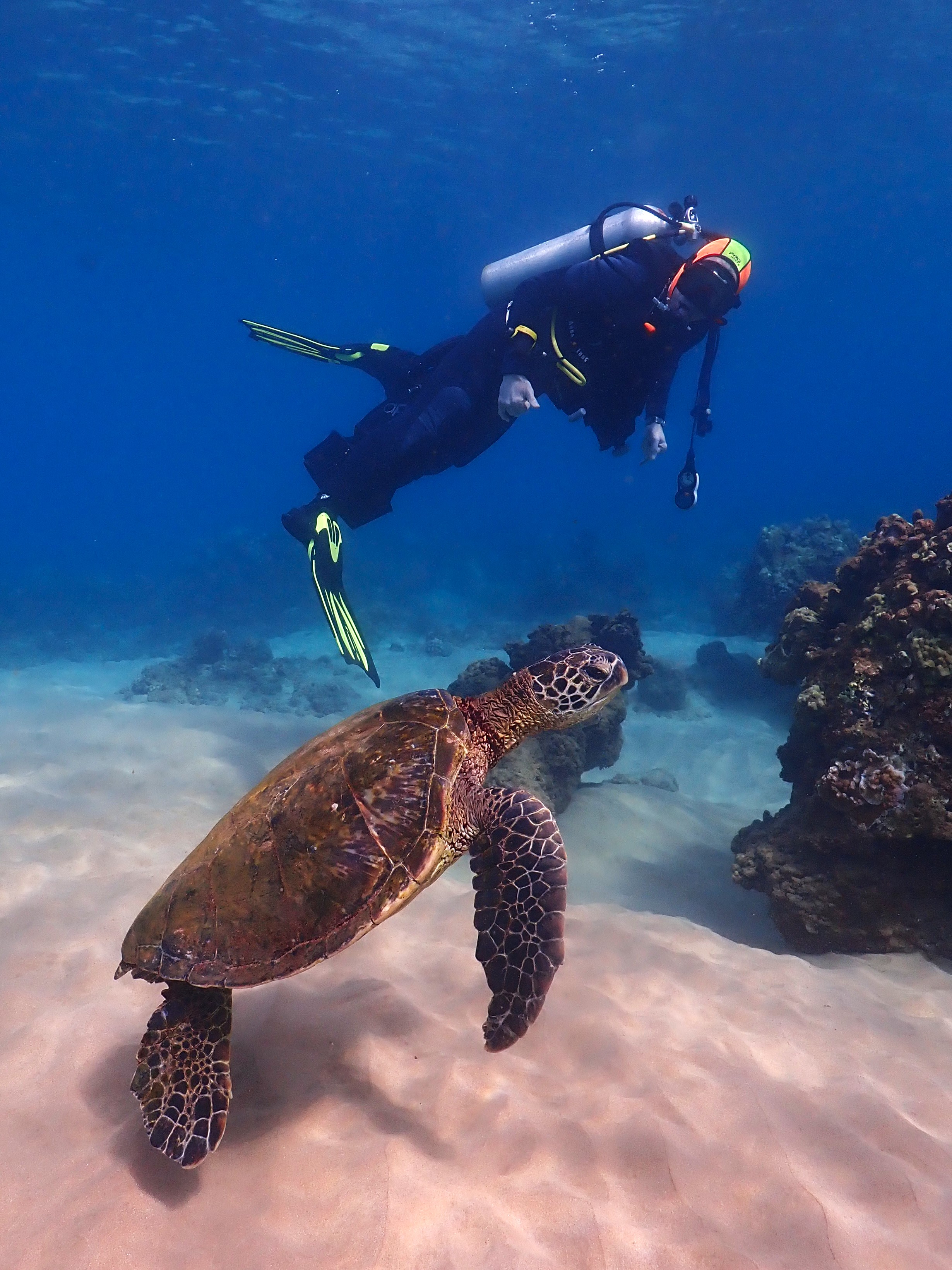 Maui Scuba Diving