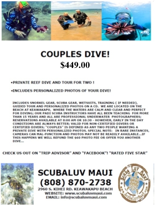 Guided Maui Reef Dive
