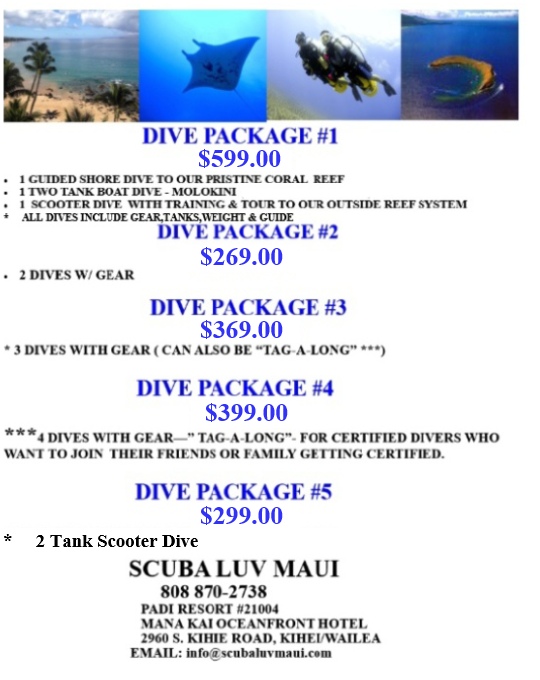 Maui Dive Packages