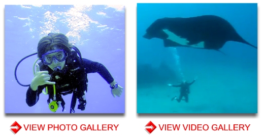 Maui Scuba Diving Videos