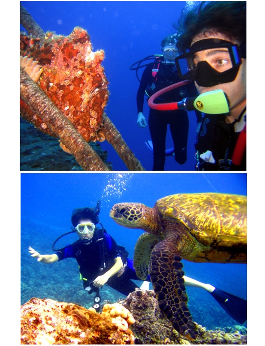 Guided Maui Reef Dive