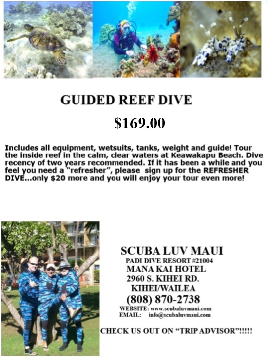 Guided Maui Reef Dive