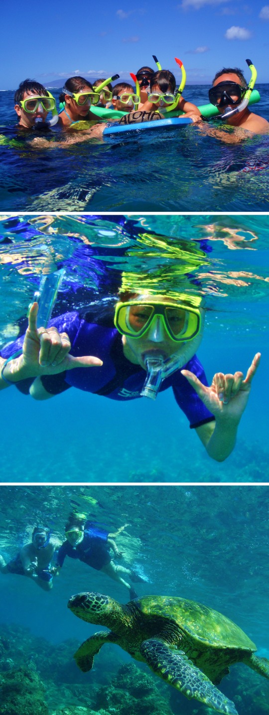 Maui Boat Dives