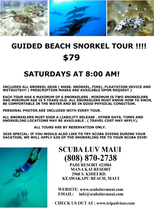 Maui Boat Dives
