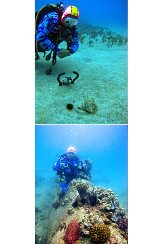Maui Diving
