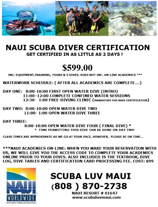 PADI Open Water Certification