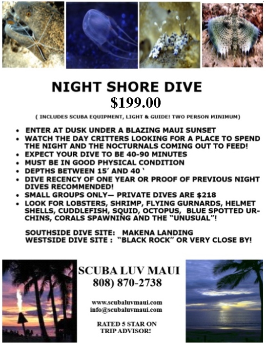 Maui Diving