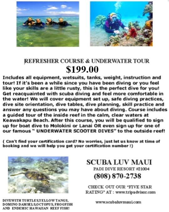 Guided Maui Reef Dive
