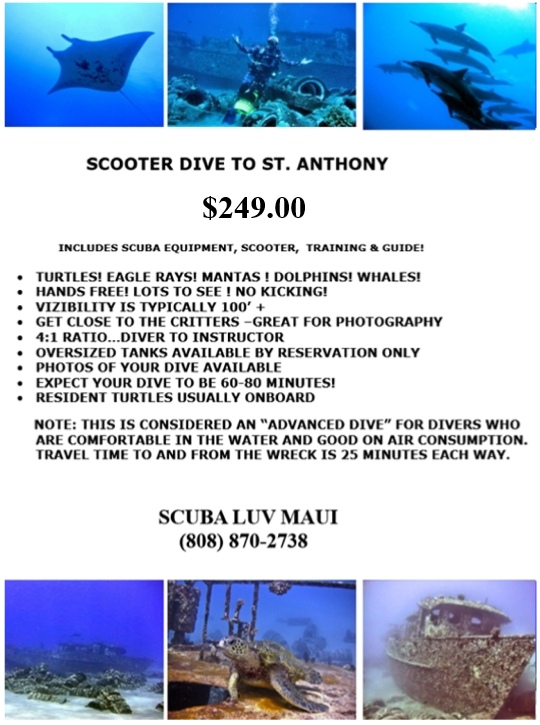Maui Scooter Dives